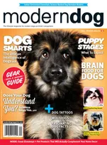 Modern Dog (Canada)