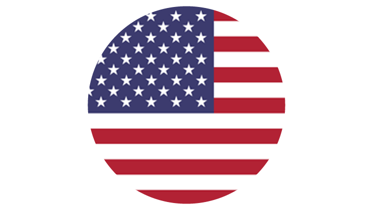 読売新聞 海外サービス